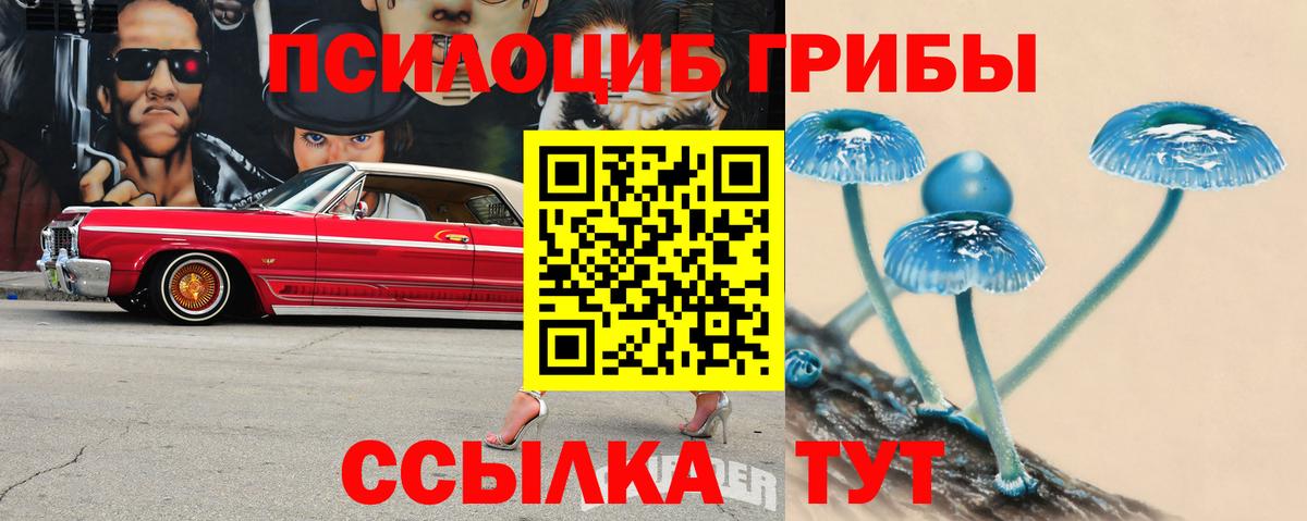 Галлюциногенные грибы Cubensis  дарнет шоп  Зерноград  Вход с VPN 